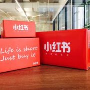 买粉对小红书品牌合作有何影响？